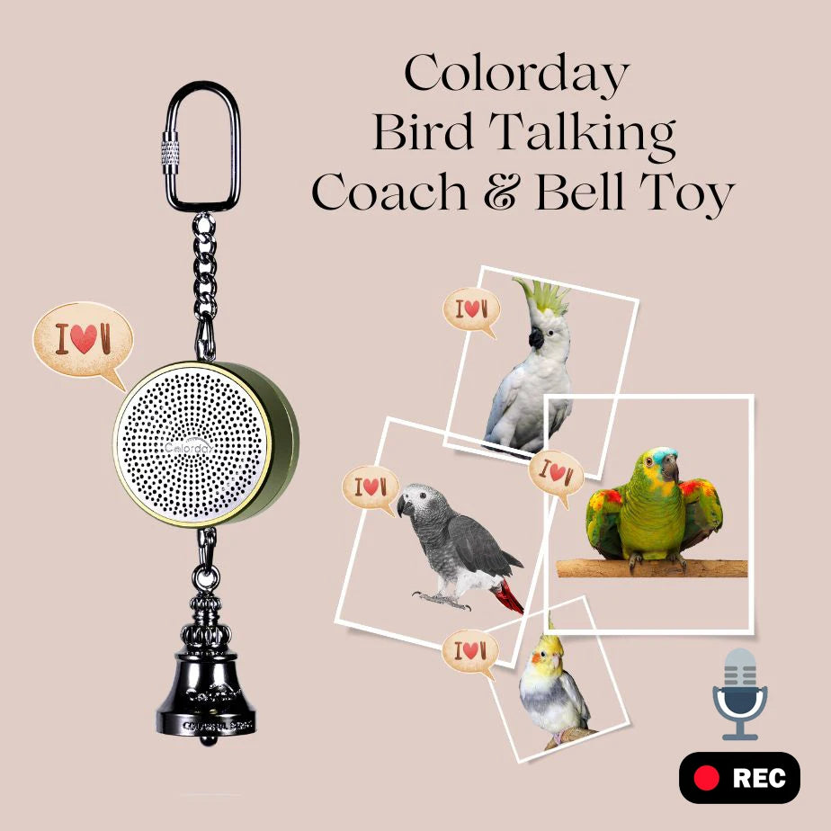 Electronic Voice Chewing Tearing Bell - Love Bird Cages
