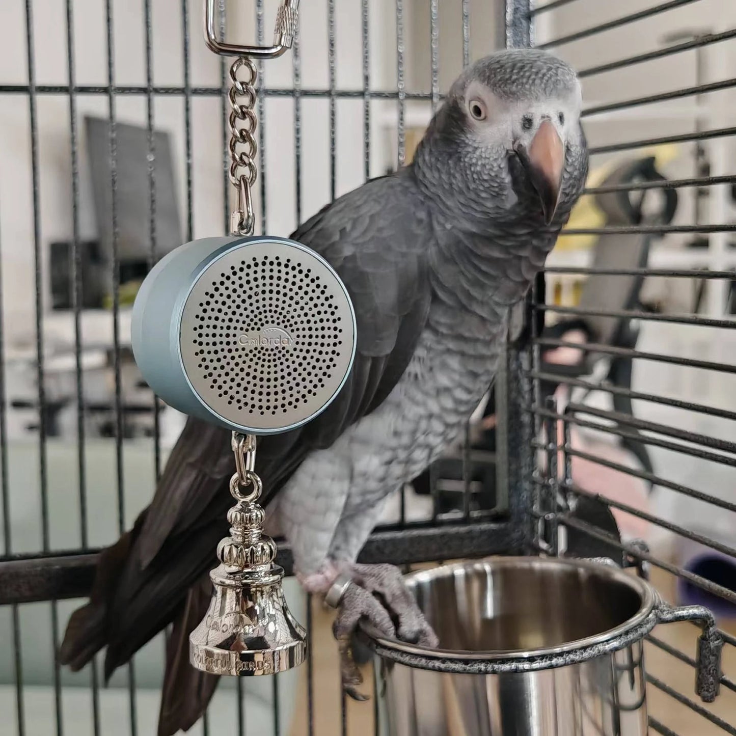 Electronic Voice Chewing Tearing Bell - Love Bird Cages