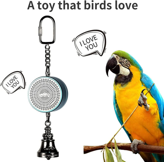 Electronic Voice Chewing Tearing Bell - Love Bird Cages